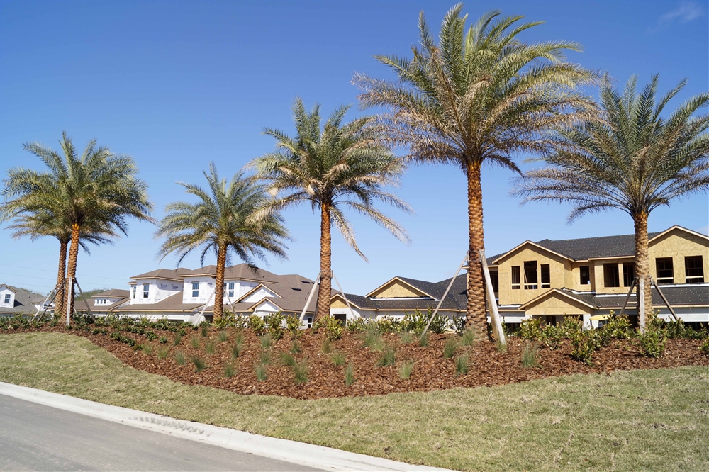 Market Snapshot The Enclave at Forest Lakes, Sarasota Photo